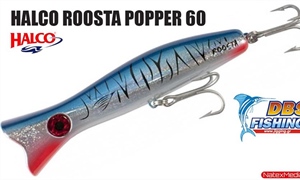 HALCO ROOSTA POPPER 60 από την DBS FISHING