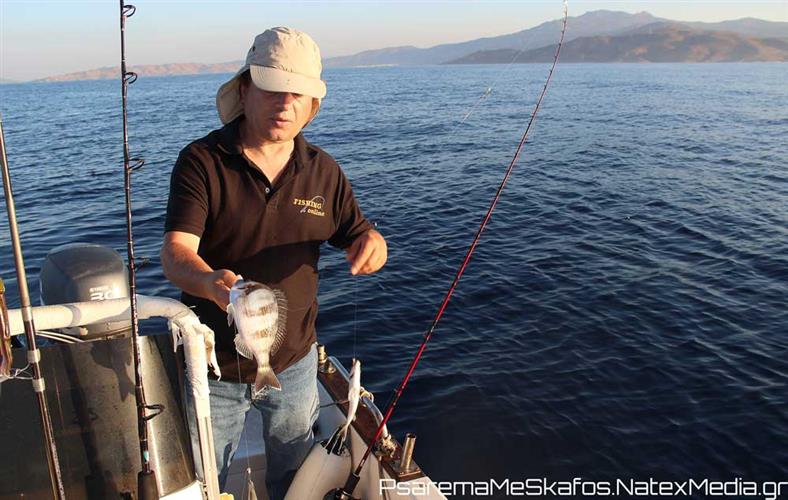 Καθετή - Η υπεροχή της απλότητας και της ποιότητας.