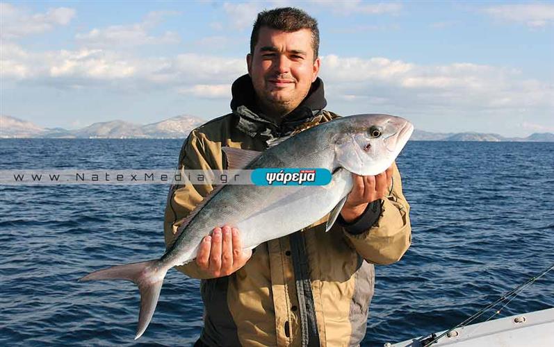 Jigging. Αναζητώντας τα ψάρια σε διάφορα βάθη.